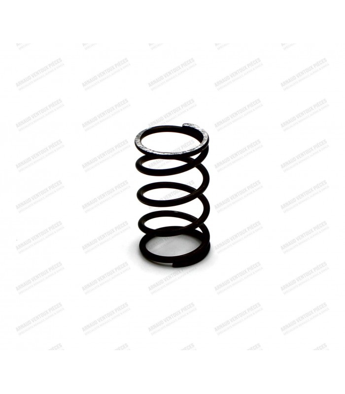 Right rocker arm shaft spring