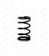 Right rocker arm shaft spring