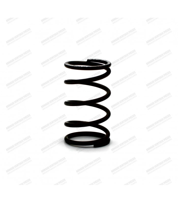 Right rocker arm shaft spring