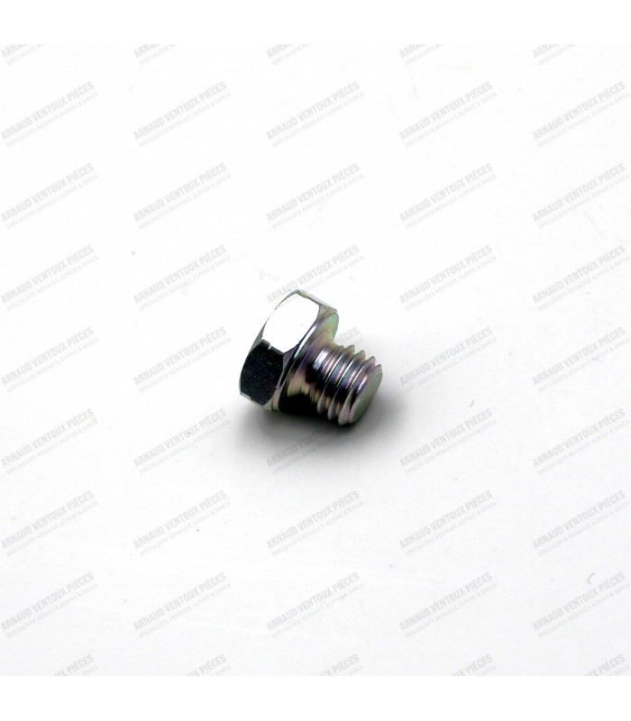 Rocker arm shaft end screw