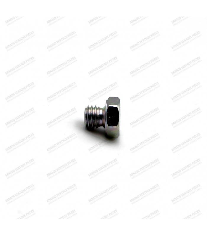 Rocker arm shaft end screw