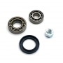 Kit of 2 Front spindle bearings with oil seal and nut - A110.1600 (VD/ SX) / A310.4 / A310.6 - 1
