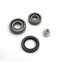 Kit of 2 Front spindle bearings with oil seal and nut - A110.1600 (VD/ SX) / A310.4 / A310.6 - 2