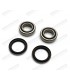 Rear wheel hub bearing kit - 2