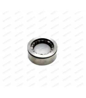 Primary shaft roller bearing - 24.5x40x16 - NG5 box