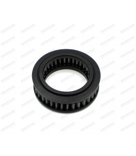 Green washable air filter - Dauphine Gordini (R1091) / Floride