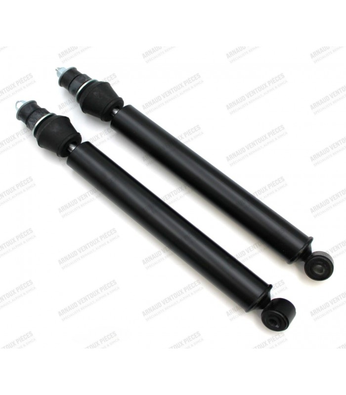Pair of Front Shock Absorbers - R16 (all models from 1964 to 1981) - 1