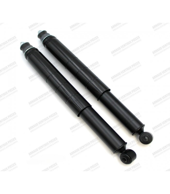 Pair of Rear Shock Absorbers - R16 (all models from 1964 to 1981) - 1