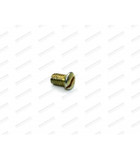 Throttle Valve and Throttle Control Inspection Door Screw for WEBER carburetor - 1
