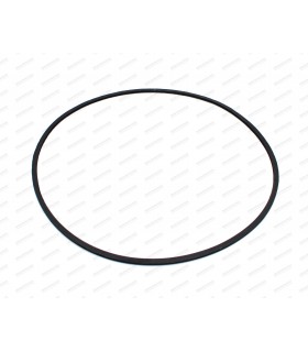 Seal for GOTTI 15" rim - 1