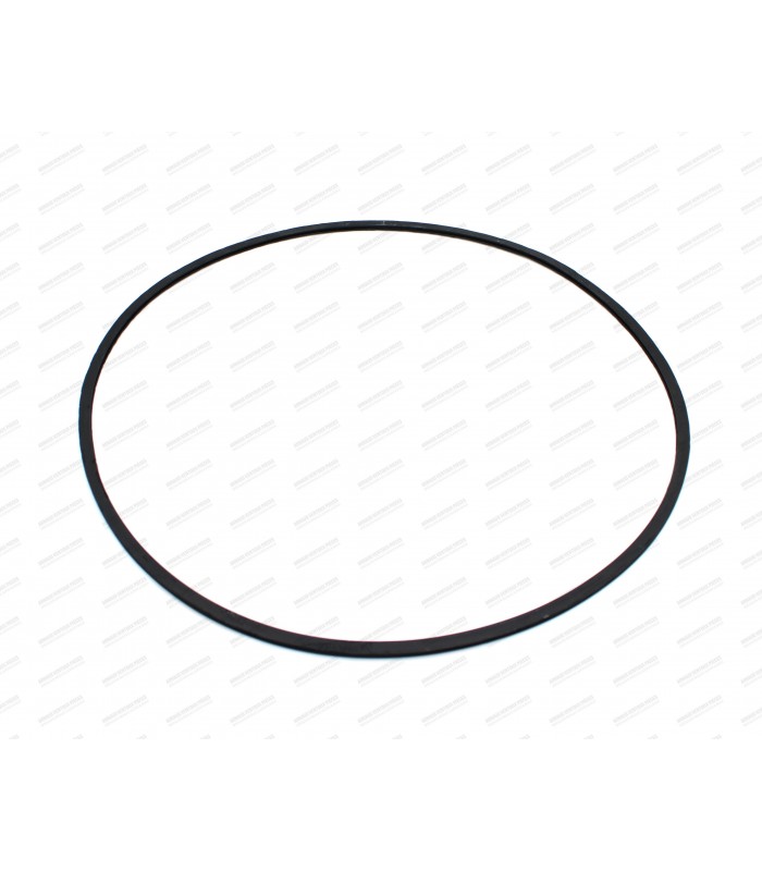 Seal for GOTTI 15" rim - 1