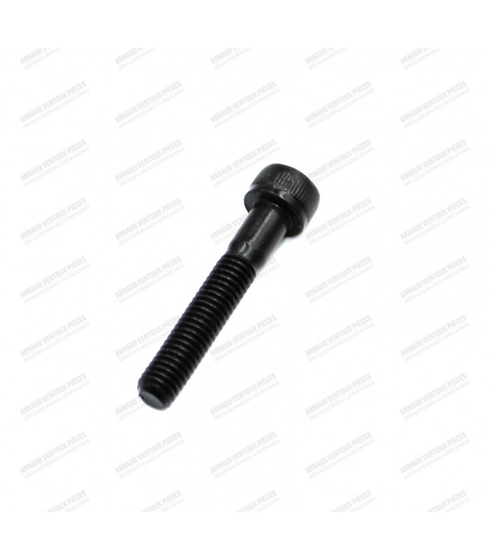 Single screw for GOTTI 35mm rim - 2