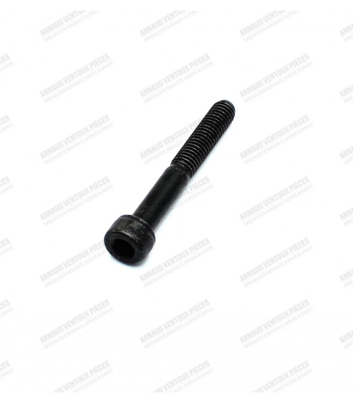 Single screw for GOTTI 45mm rim - 1