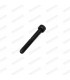 Single screw for GOTTI 45mm rim - 2