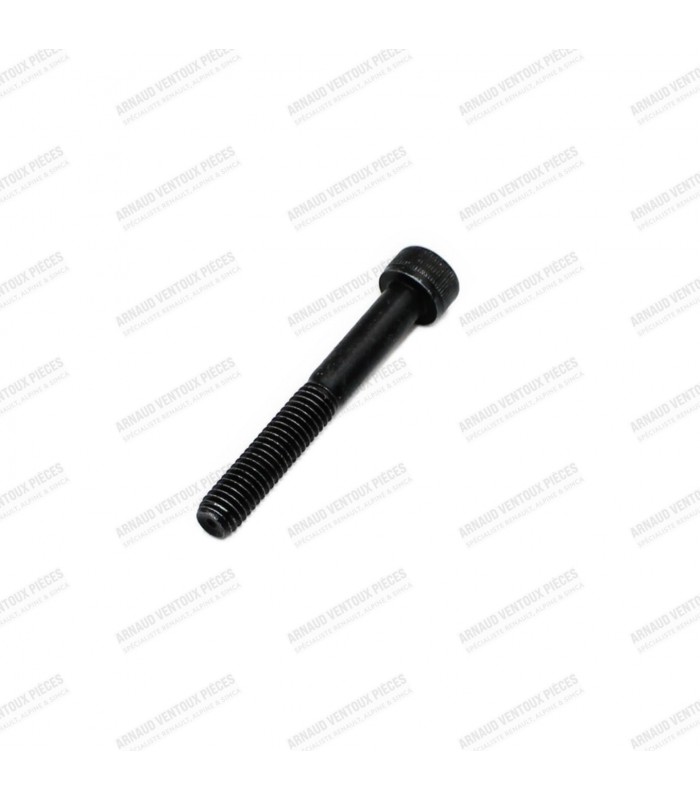 Single screw for GOTTI 45mm rim - 2