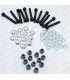 Complete screw kit (x12) for GOTTI N°7 13" rim - 1